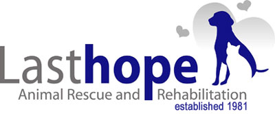 hope animal shelter