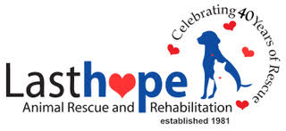 Last Hope Animal Rescue and Rehabilitation