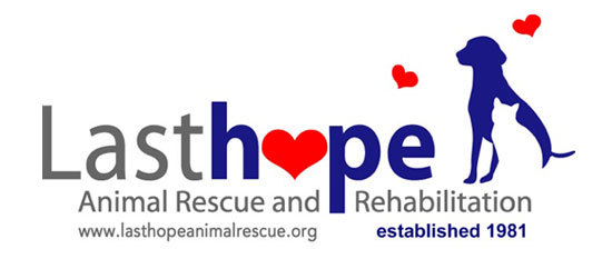 Last Hope Animal Rescue | Since 1981, Last Hope has been dedicated to the  rescue and rehabilitation of stray, abandoned and death-due pound animals.